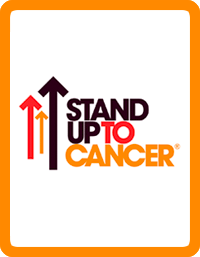 Bid 2 End Cancer - MLB Stand Up to Cancer